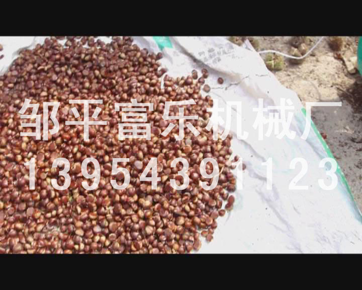 板栗脫殼機板栗脫蓬機