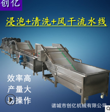 蔬菜浸泡式清洗風干線 不銹鋼全自動洗菜機 果蔬氣泡清洗機廠家
