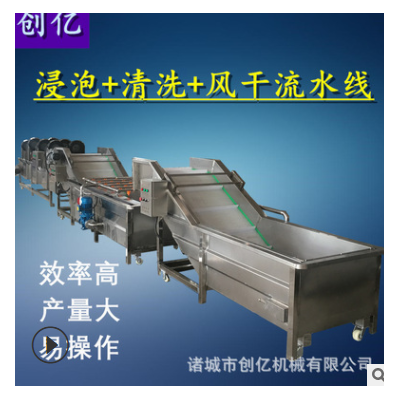 蔬菜浸泡式清洗風干線 不銹鋼全自動洗菜機 果蔬氣泡清洗機廠家
