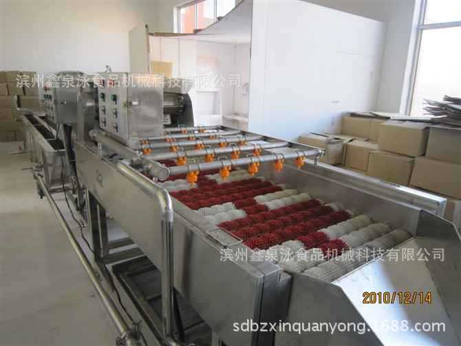 成套大棗清洗機