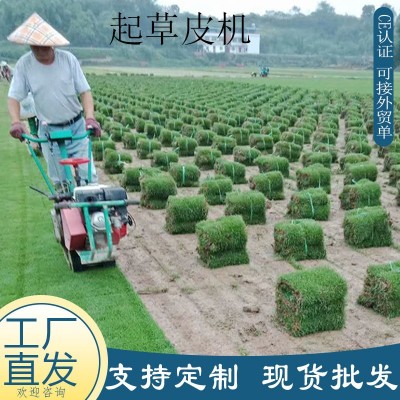 工廠直發(fā)草坪起草機(jī) 汽油動(dòng)力手推起皮機(jī) 學(xué)校小區(qū)綠化草坪移栽機(jī)