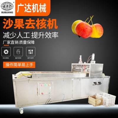 可生產通孔沙果去核機 山楂去籽機廠家 海棠果去核機廠家直銷