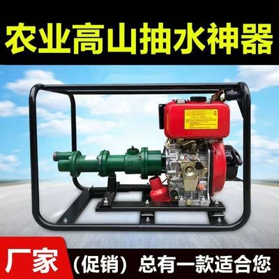 高揚程水泵200米300米高壓抽水機農用高山水泵2寸螺桿泵 汽油柴油