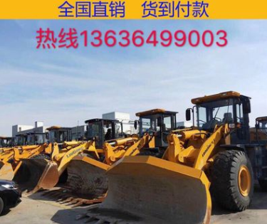 上海現(xiàn)場(chǎng)真品鏟車(chē)裝載機(jī)30/50裝載機(jī)，供應(yīng)龍工臨工柳工