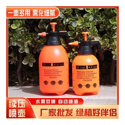 廠家2L3L手持式氣壓式噴霧器噴壺灑水壺澆花壺澆花瓶園藝消毒工具