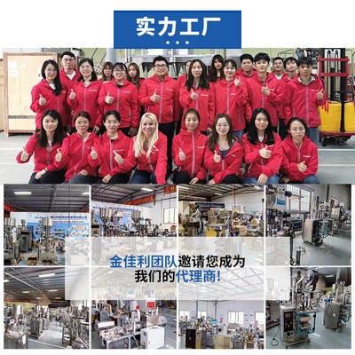 二頭秤顆粒包裝機 大容積快速包裝機械設備 二頭電子稱