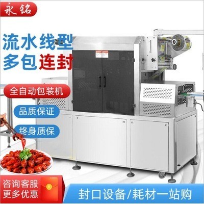 流水線全自動(dòng)真空氣調(diào)包裝機(jī)高配置量個(gè)性化定制可上門(mén)安裝