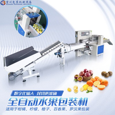佛山廠家直供全自動(dòng)檸檬包裝機(jī)高速柑橘打包機(jī)現(xiàn)貨批發(fā)水果套袋機(jī)
