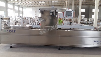 DZR-520全自動連續熱成型真空包裝機 烤腸真空包裝機