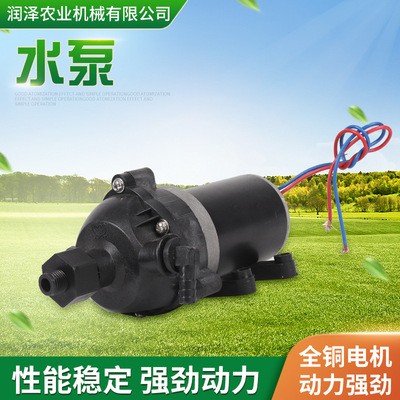 自吸式12V大功率隔膜泵 2600泵2800泵 農(nóng)用電動噴霧器高壓水泵