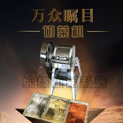 食堂專(zhuān)用切菜機(jī) 果蔬加工設(shè)備 多功能切菜機(jī) 小型切菜機(jī)