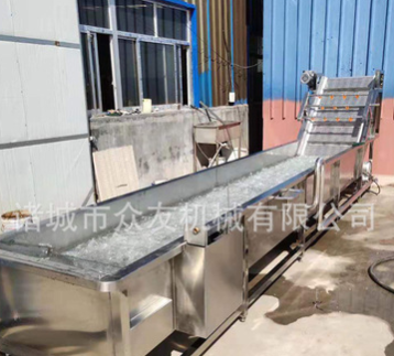 壽光全自動(dòng)蔬菜清洗機(jī) 氣泡沖浪洗菜機(jī) 果蔬沖洗線 新鮮果蔬
