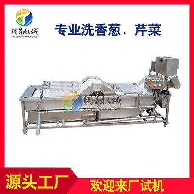 現貨供應 大型香蔥芹菜清洗機 洗蔥機 大蔥清洗設備 可定制