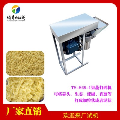 廚房設(shè)備 小型立式蒜蓉打泥機(jī) 電動馬蹄攪碎機(jī) 玉米打漿機(jī) 不銹鋼