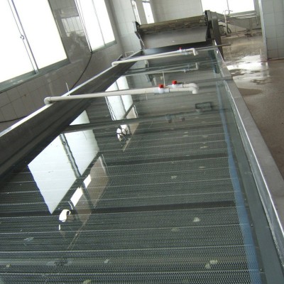 定制洗菜機(jī)氣泡清洗機(jī) 噴淋式紅薯土豆果蔬清洗機(jī) 全自動(dòng)清洗設(shè)備