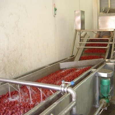 香菇菌類清洗機 凈菜蔬菜清洗加工生產線廠家 雜糧清洗設備生產線