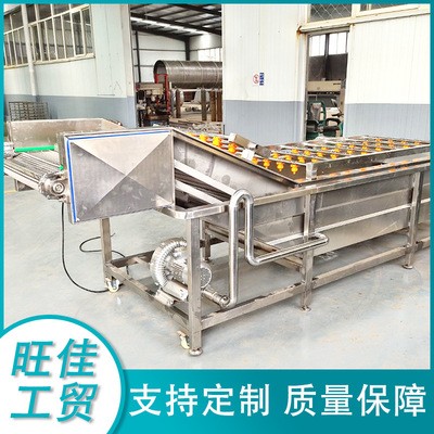 廠家供應(yīng) 韭菜氣泡清洗機(jī) 白菜去泡清洗流水線 不銹鋼清洗設(shè)備