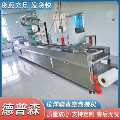 豬肉脯果干包裝機(jī) 全自動(dòng)拉伸膜式包裝設(shè)備 漢堡餅拉伸膜真空機(jī)