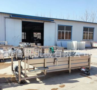 商用果蔬清洗機 氣泡高壓噴淋清洗機 百合清洗設備
