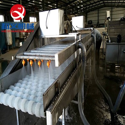 廠家生產貝殼類清洗機 連續式牡蠣清洗設備 不銹鋼海蠣子清洗機
