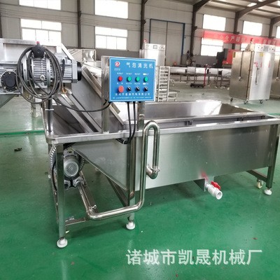 草莓氣泡清洗機不傷表皮 蘑菇氣泡清洗 西藍花去泥清洗加工設備