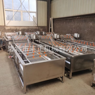 果蔬氣泡清洗機(jī)翻浪式小龍蝦氣泡清洗設(shè)備廠家供應(yīng)蔬菜氣泡清洗機(jī)