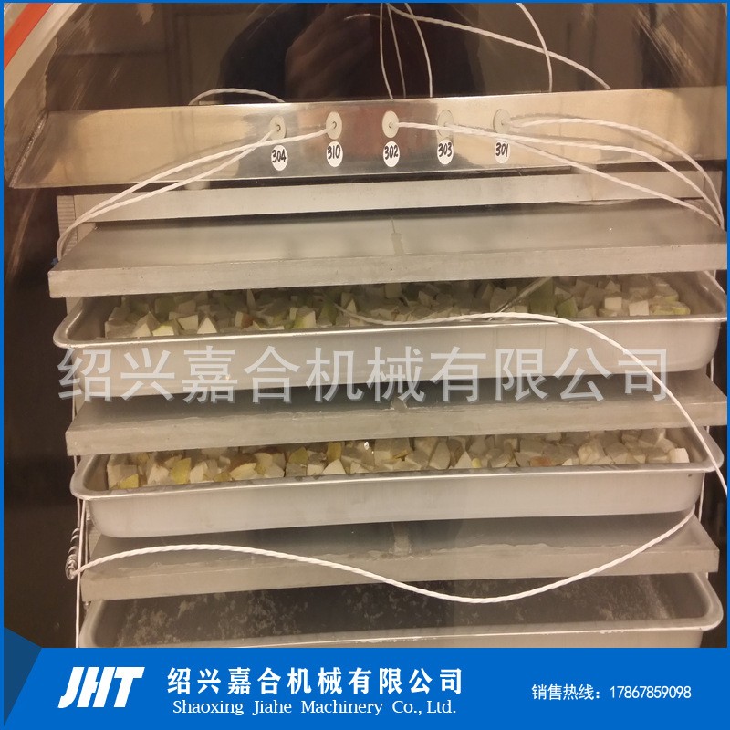 全自動真空凍干機器 方便面蔬菜包冷凍干燥設備 蟲草參片凍干機