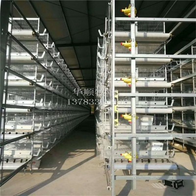 層疊育雛籠 養的多通風好