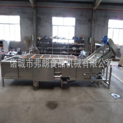 高壓噴淋清洗機 辣椒氣泡清洗機 龍眼荔枝氣泡清洗機圣女果清洗機