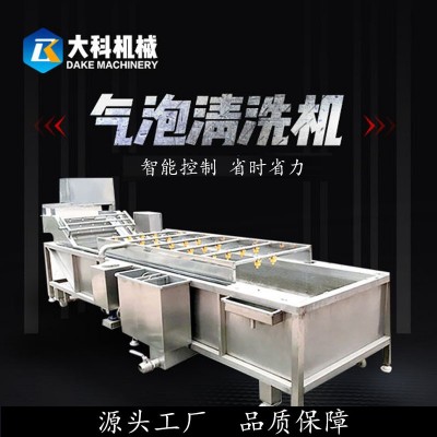 果蔬氣泡清洗機全自動蔬菜高壓噴淋清洗設備不銹鋼水果藥材清洗機