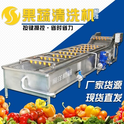 全自動(dòng)果蔬氣泡清洗機(jī) 噴淋式氣泡清洗機(jī) 不銹鋼葉菜大棗清洗線