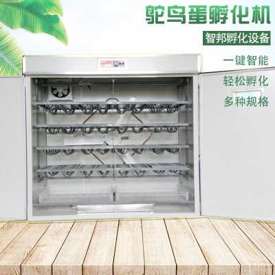 定制全自動智能鴕鳥種蛋孵化機器鴯鹋孵化箱孵化器孵蛋器