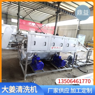 商用大姜高壓噴淋清洗設備 多功能生姜老姜清洗機鼎益機械