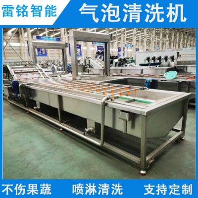 供應蔬菜水果清洗機柑桔橙子清洗機 自動氣泡清洗機 洗果機洗菜機