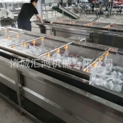 紅棗全自動(dòng)清洗機(jī) 鮮棗水果氣泡清洗線 連續(xù)洗棗機(jī)器廠家