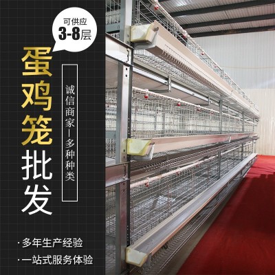 全自動框架蛋雞籠養雞設備自動清糞系統養殖設備鍍鋅大層疊養雞籠
