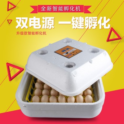 伊科貝特42枚孵化機 小型孵化機 家庭微型孵化器 孵化箱 出口產品