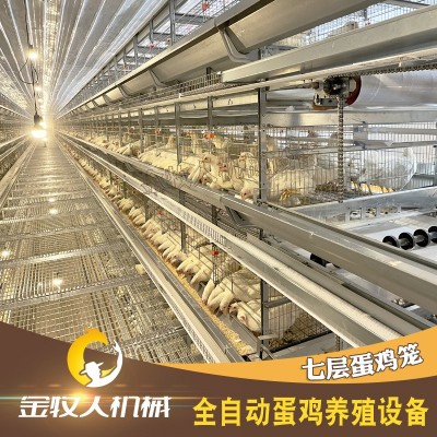 七層蛋雞籠 自動化層疊蛋雞籠 養雞設備籠具養殖廠家供應