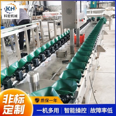 山東廠(chǎng)家科宏 水果分選機(jī)料盒款 柑橘番石榴桃子自動(dòng)稱(chēng)重選果機(jī)