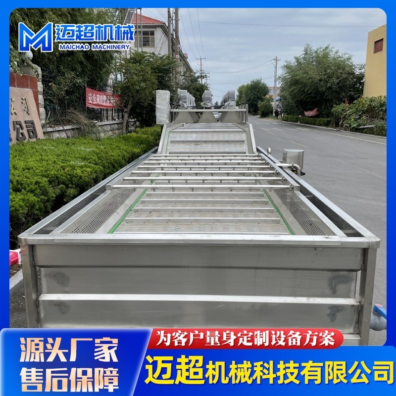 全自動噴淋式果蔬清洗機(jī) 葉類蔬菜高壓氣泡清洗機(jī) 清洗流水設(shè)備