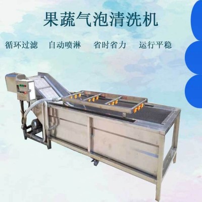 全自動果蔬清洗機(jī) 噴淋式蘋果氣泡清洗流水線 白菜西紅柿清洗機(jī)設(shè)