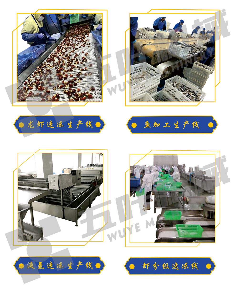 水產生產線水印6.jpg