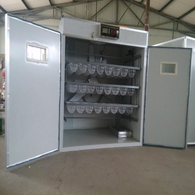 全自動鴕鳥孵化機孵化器72枚鴕鳥智能孵化箱孵蛋器