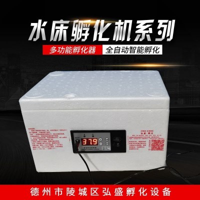 全自動仿生水床孵化機(jī) 家用小型多功能雞鴨鵝鴿子孔雀水床孵化箱