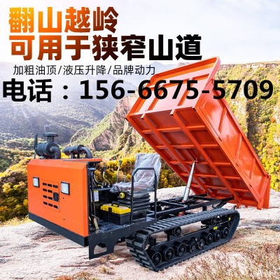 履帶式運(yùn)輸車爬山虎山地爬坡運(yùn)輸車重型履帶底盤履帶運(yùn)輸車