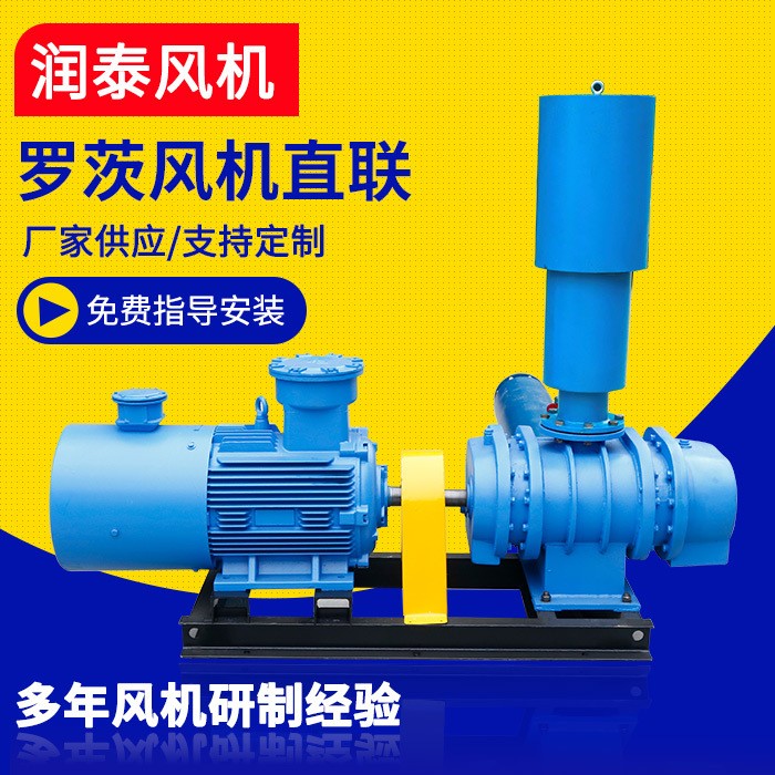 廠家供應 羅茨鼓風機 直聯三葉羅茨鼓風機三葉羅茨風機 支持定制