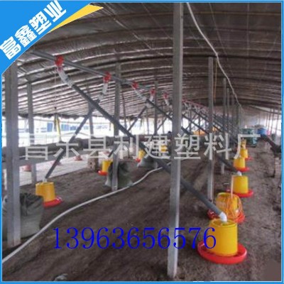 雞料線 鴨料線 鵝料線 自動料線 料線設(shè)備 料線 養(yǎng)殖設(shè)備