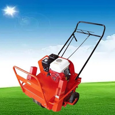 草坪果園松土機(jī) 草坪養(yǎng)護(hù)打孔機(jī) 手推式小型草地挖孔機(jī)