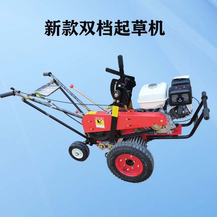 草坪基地起草機草坪建植自走式起草坪設備草坪移植切塊機鏟草機