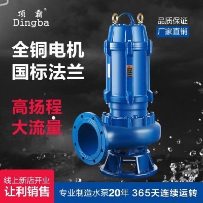 廠家供應立式潛水泵220V380V工程處理污水泵無堵塞工業排污離心泵